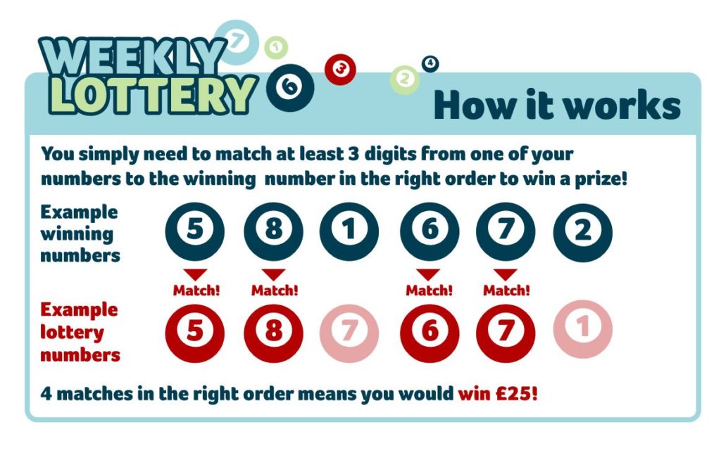 Contact weekly lottery - how it works, shows how to match numbers to win money