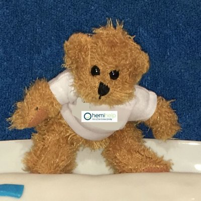 Small teddy bear wearing a white t-shirt with hemi-help logo over image