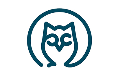 Owl icon blue
