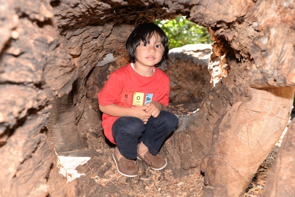 A young child with black hair and wearing a red shirt, dark pants, and brown shoes is crouched inside a large hollow tree trunk. The child is looking ahead, and the background includes green foliage visible through the tree opening.