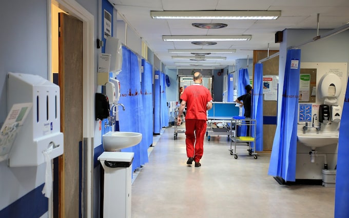 A hospital corridor with blue partition curtains lining both sides. A person in red scrubs walks down the hallway, while another person is seen in the background. Sinks, hand sanitizers, and various medical equipment are visible along the walls.