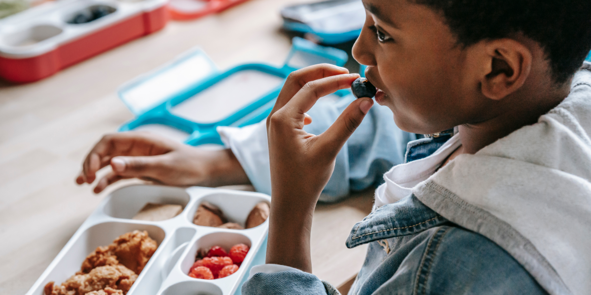 Child eating packed lunch at school