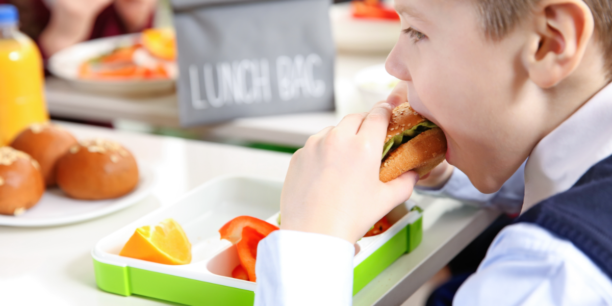 Child eating packed lunch at school