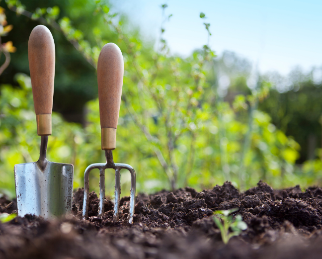 A small trowel and fork sticking out of muddy ground with greenery in the background