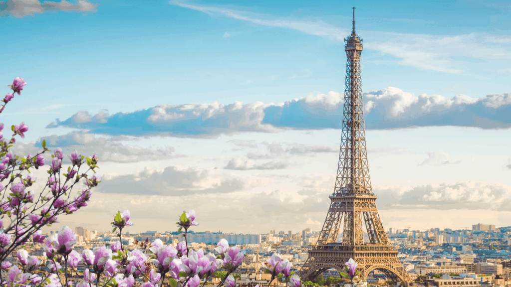 Landscape photo of the Eiffel Tower and surrounding Paris area.