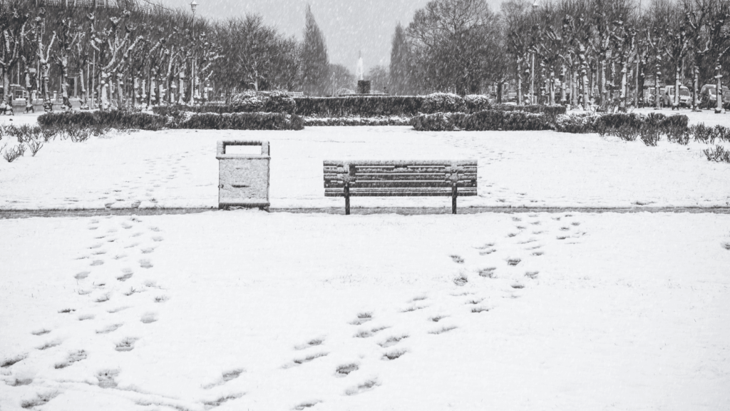 Snowy scene in Welwyn Garden City